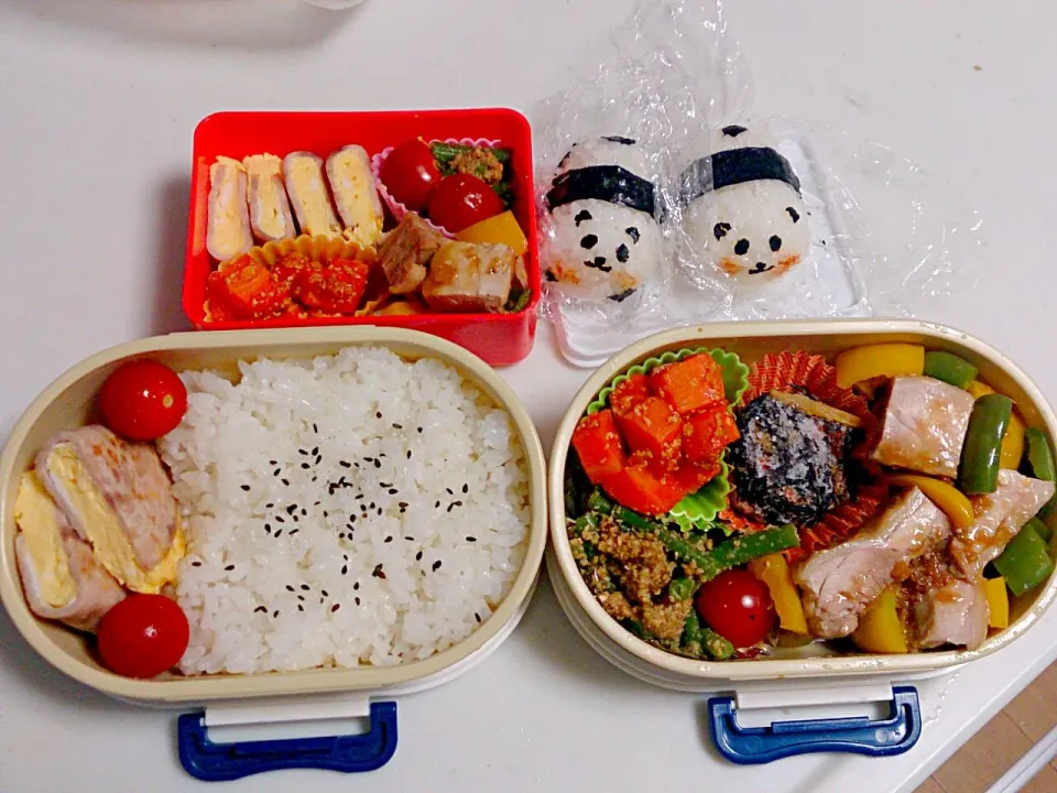 今日のお弁当（幼稚園児と夫）。鶏の炒り煮といんげんのゴマ和え、ハム玉子、ヒジキ、チーズケチャップニンジン。|やよさん