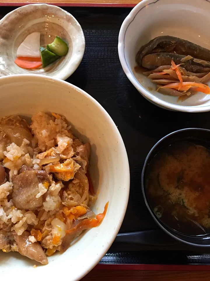 Snapdishの料理写真:Oyakodon|Generaalさん