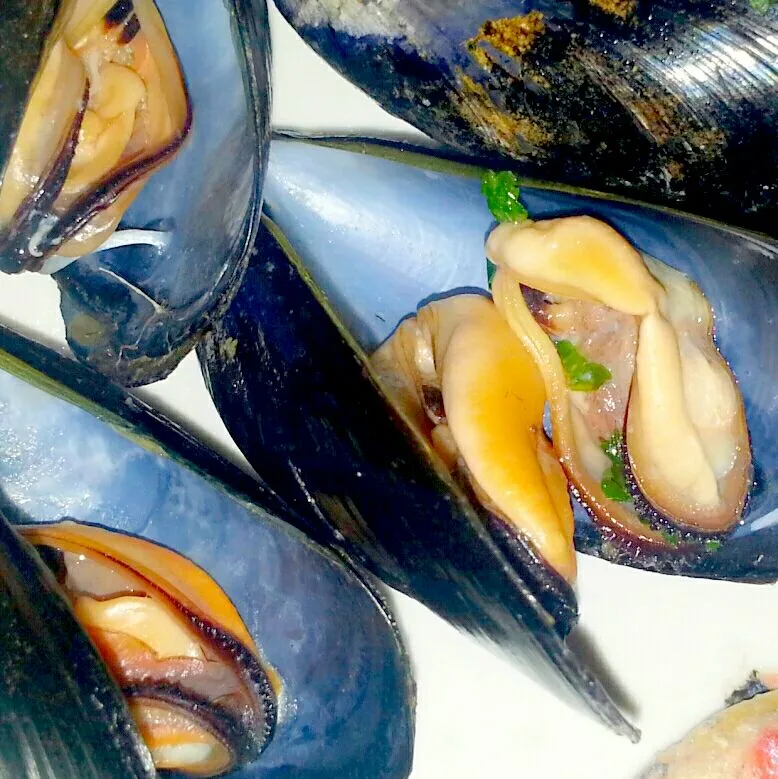 MUSSELS|Serena Folloneさん