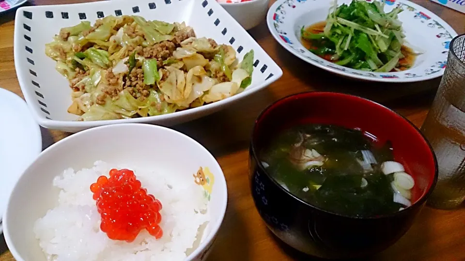 キャベツとひき肉の味噌いため、筋子ごはん|みんさん