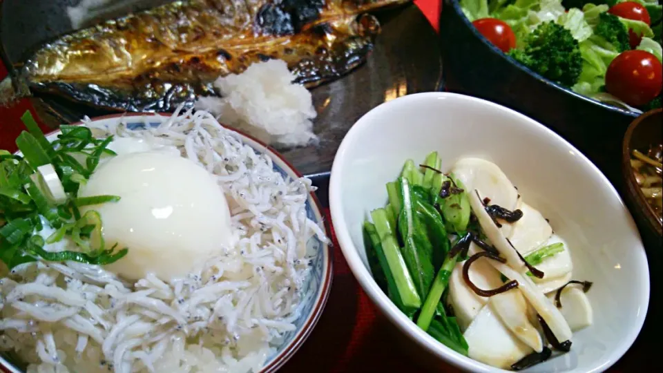 Snapdishの料理写真:しらす丼温玉載せ、秋刀魚の開き、蕪の漬物、柿の木茸の味噌汁、サラダ|meguromenさん