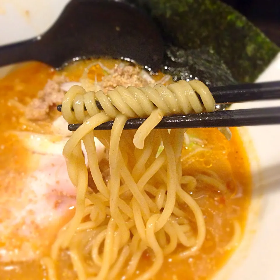 オマール海老香る味噌ラーメンの麺|黒澤 真生さん