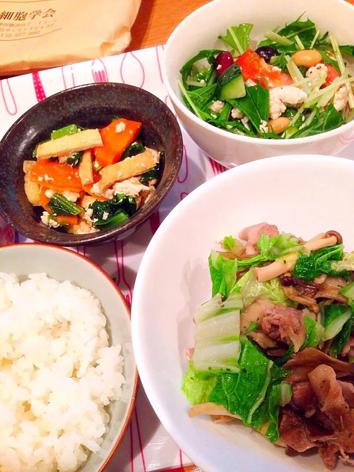 豚肉と白菜の炒め 小松菜の白和え 水菜と豆と鶏そぼろサラダ|みつほさん