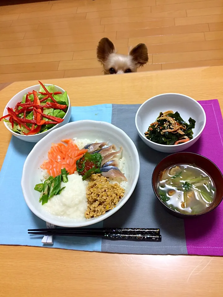 ☆ サーモン さんま イクラ 納豆 長芋 オクラ の丼ぶり|Fuyumi Nakanoさん