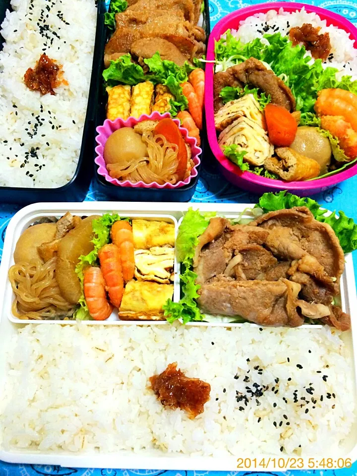 今日の３個弁当〜2014.10.23|こんぺいとうさん