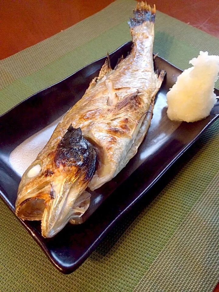 Snapdishの料理写真:White croaker broiled w/salt🐟イシモチの塩焼き|🌈Ami🍻さん