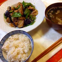 ピーマンとナスと豚肉の味噌炒め＊|hitomiさん