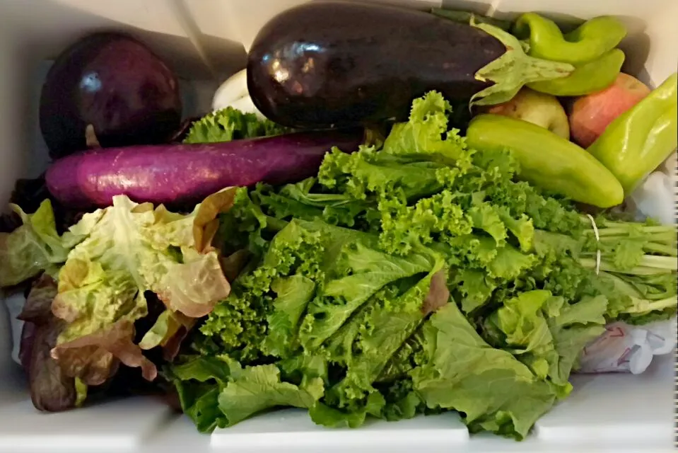 farm to table vegetables and fruits have arrived|Jiraphon Gさん