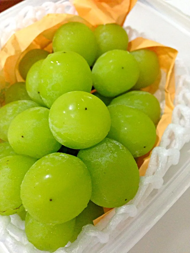 Freshly and huge seedless grape from japan|PhUnGさん