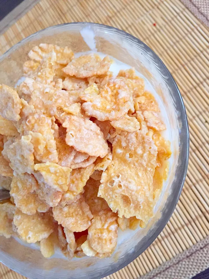 プレーンヨーグルトとコーンフレーク|Migaki55さん