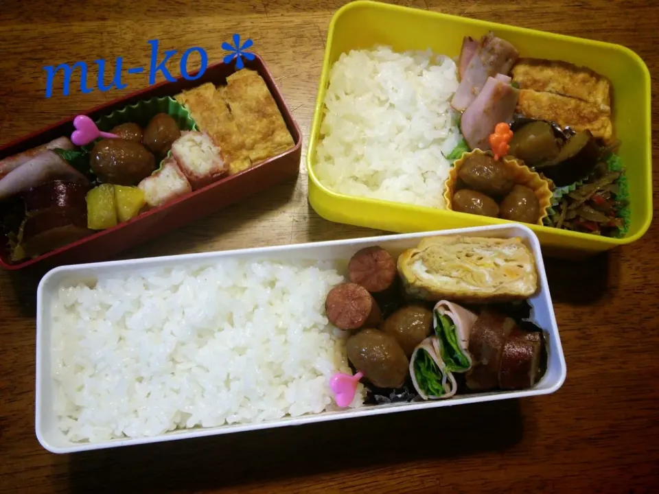 お弁当(  。•_•  。)|むーこさん