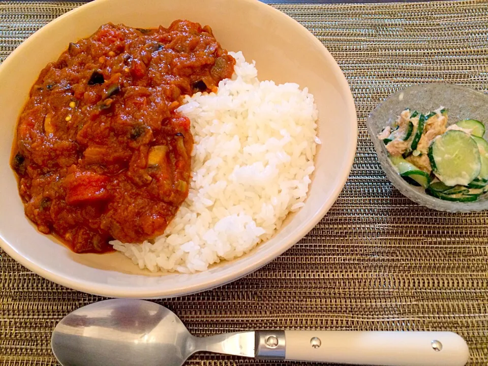 茄子とトマトのインドカレー   きゅうりとツナのサラダ|NAKATAさん