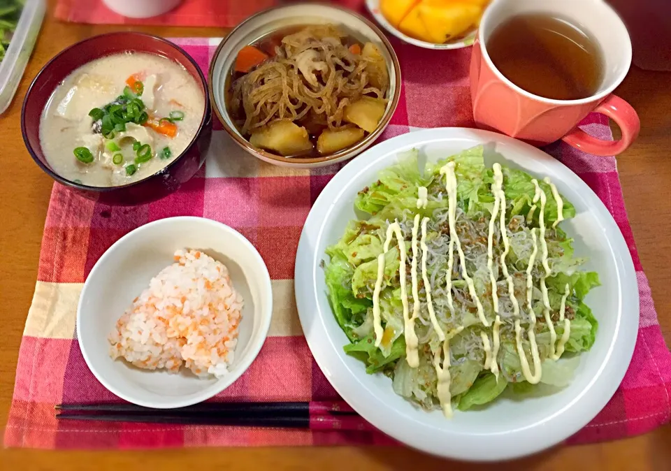 粕汁、じゃこサラダ、肉じゃが、シャケフレークご飯|つっちゃんさん