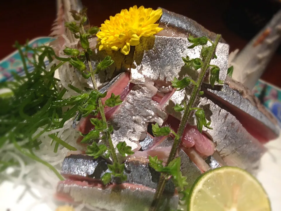 秋刀魚 刺身 2014.10.25|tarqarさん