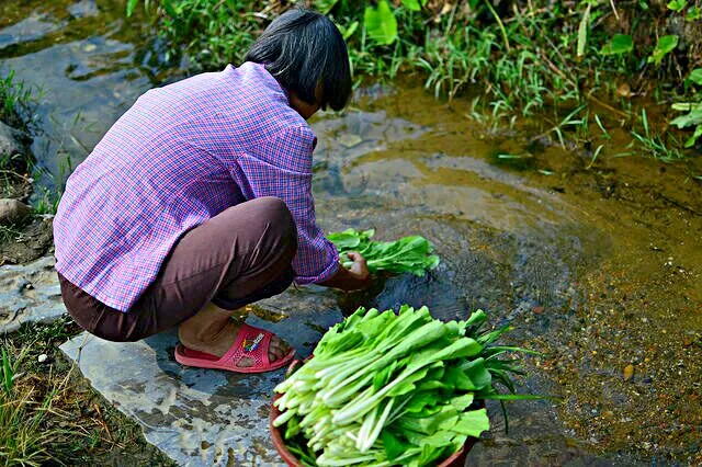 Snapdishの料理写真:📷 💚I love this image💚 📷  Cleaning 💦 the Greens 💦🌿 💦|Alisha GodsglamGirl Matthewsさん