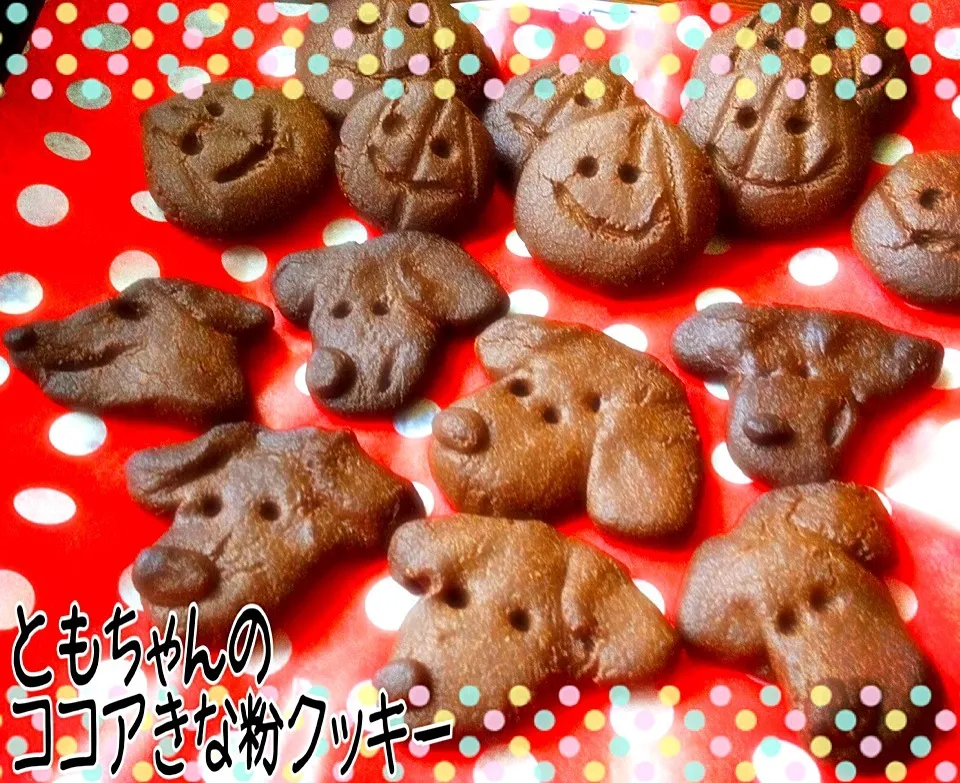 Tomoko Itoさんの料理 甘さ控えめの黄な粉とココアのヘルシークッキー♥️⛄️🎄|mari miyabeさん