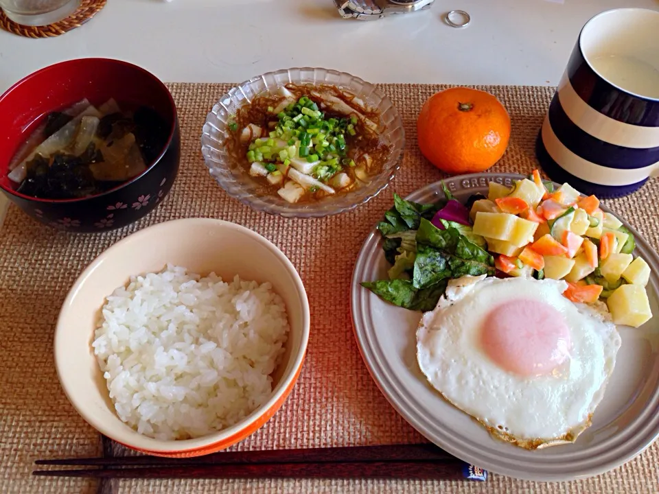 Snapdishの料理写真:目玉焼き サラダ ポテトサラダ 長芋もずく 大根とわかめの味噌汁 みかん 牛乳|にゃろめさん