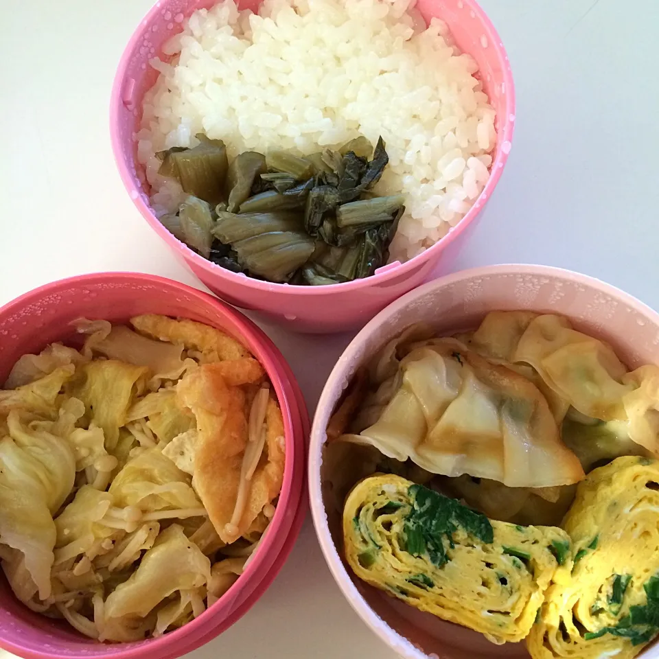 キャベツとおあげとエノキの甘味噌炒め、餃子、ニラ卵焼き、野沢菜ご飯。手抜き＆キャベツ消費キャンペーン開催中。|Snack PIYOさん