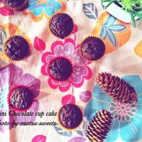 Mini chocolate cup cake