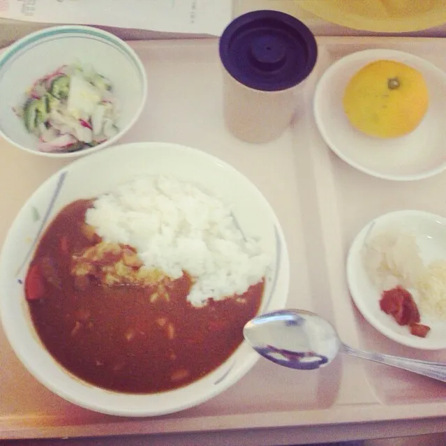 Snapdishの料理写真:チキンカレー|クニオさん