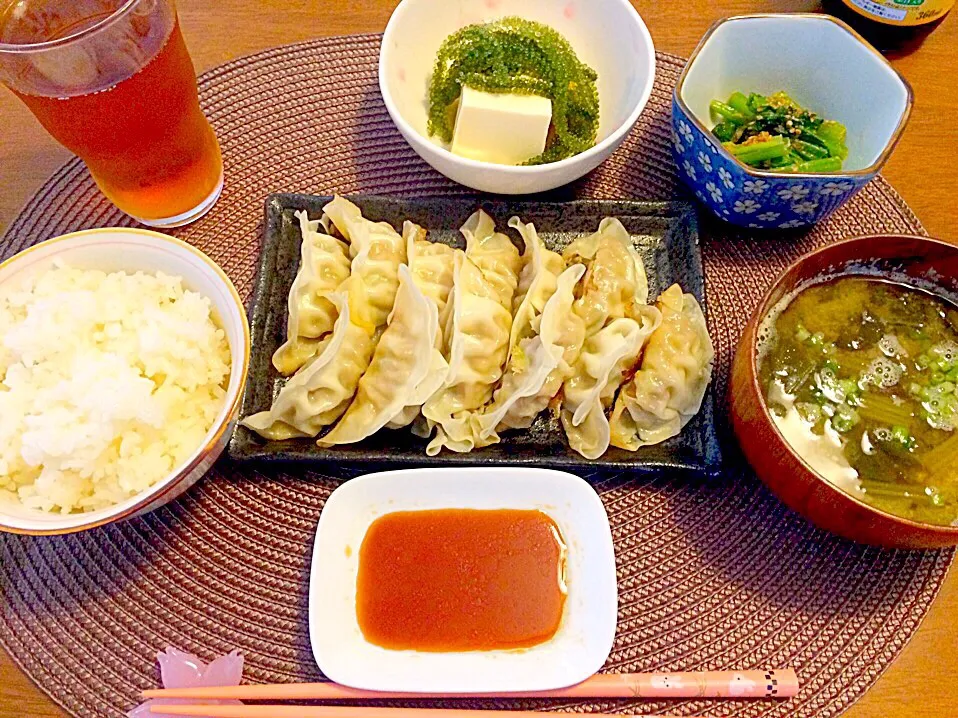 餃子の昼食|ゆうかさんさん