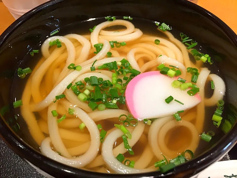 もり家のかけうどん|マハロ菊池さん