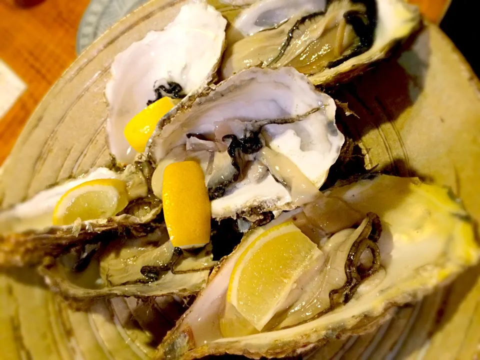 生牡蠣|Harukoさん