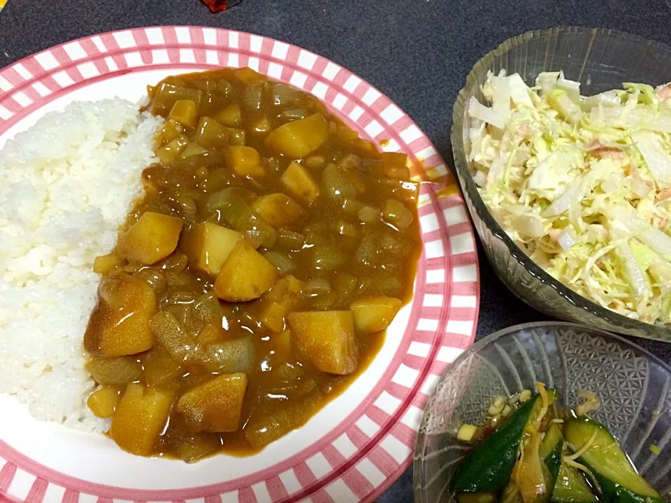 さっぱり食べたかったので野菜カレー(玉ねぎ、じゃがいも) ツナサラダ、キュウリ|ms903さん