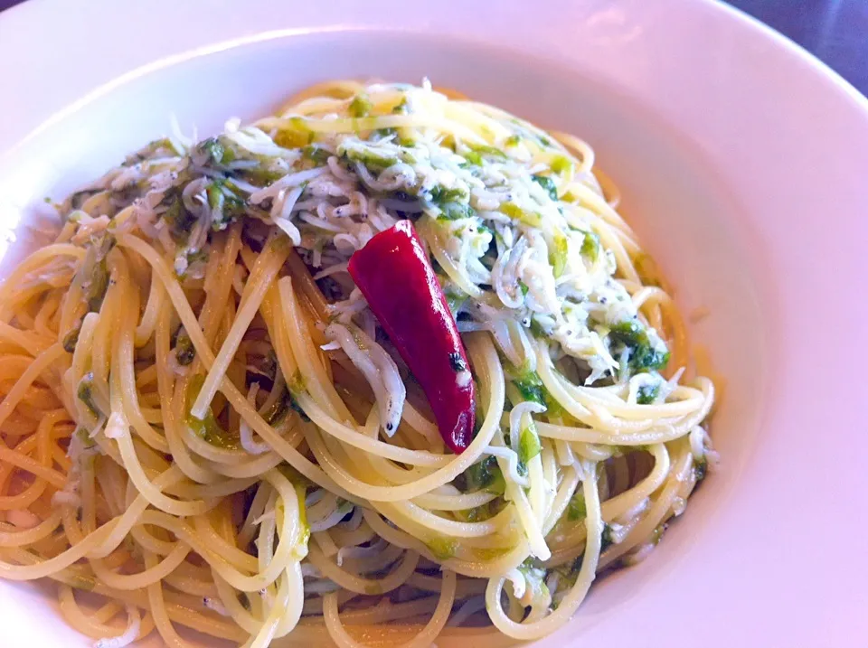 江の島 イーナカフェ しらすと青海苔のパスタ|桜生姜さん