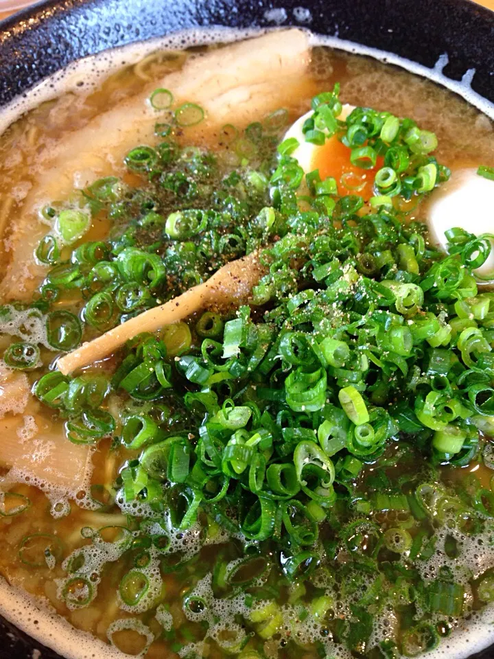 鶏白湯ラーメン！|伍龍やすさん