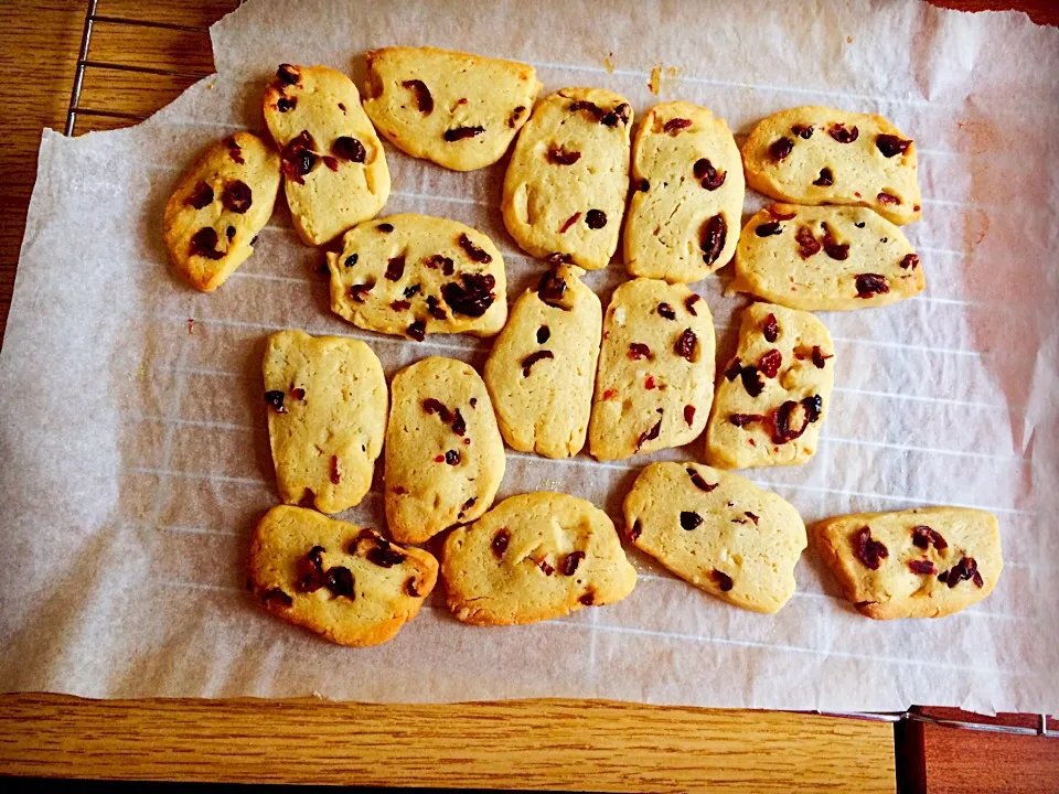 Cranberry biscuits|Puqiao Zhuさん