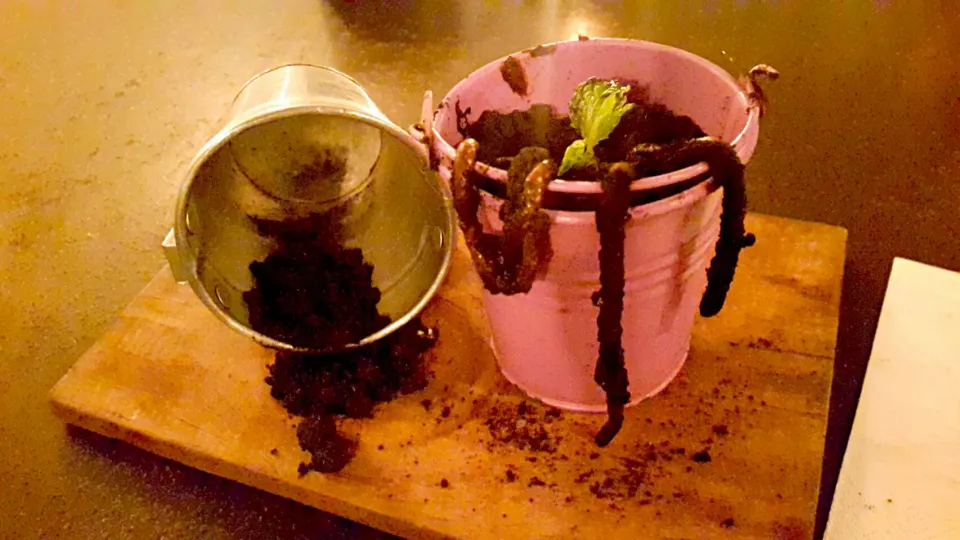 Worm's Dessert (Chocolate Soil)|choco reynaさん