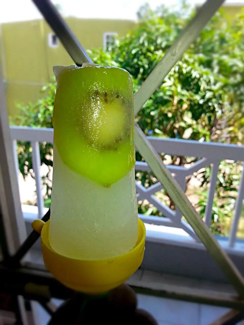 coconut water ice pop with kiwi and pineapple slices|Alicia Kimaliさん