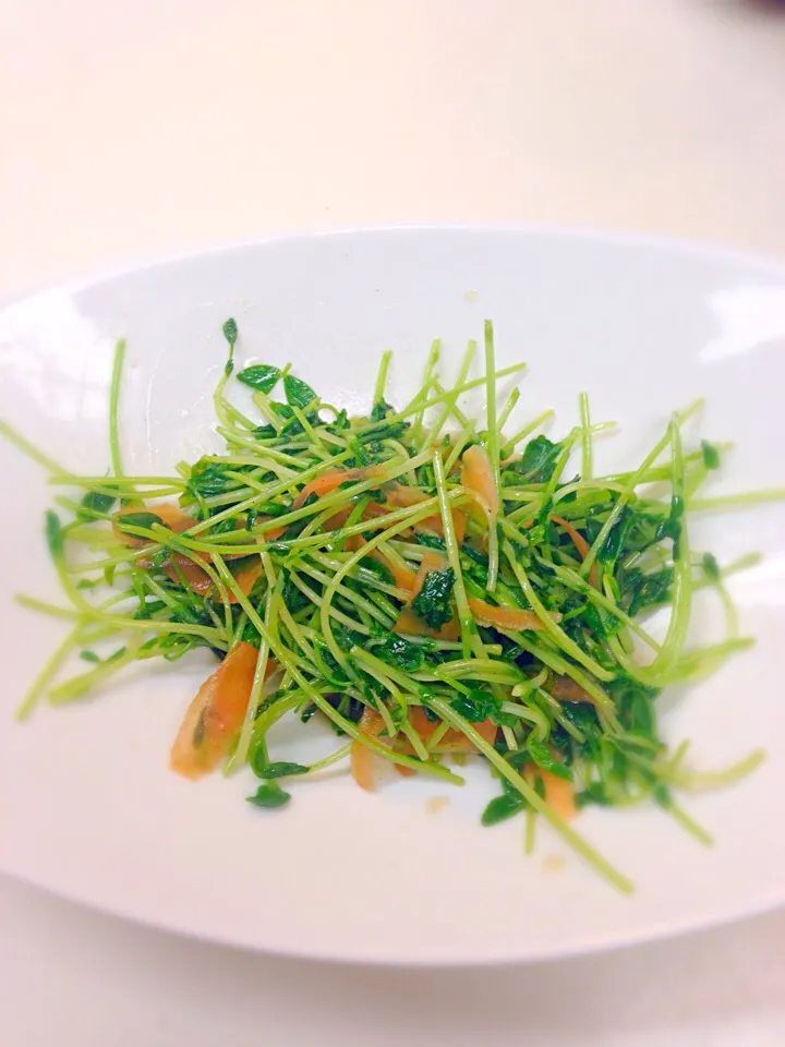 最近はまってる豆苗‼︎シンプルに、塩胡椒炒め🍴|しのてらさん