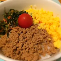 Snapdishの料理写真:丼|Ryo Inoueさん