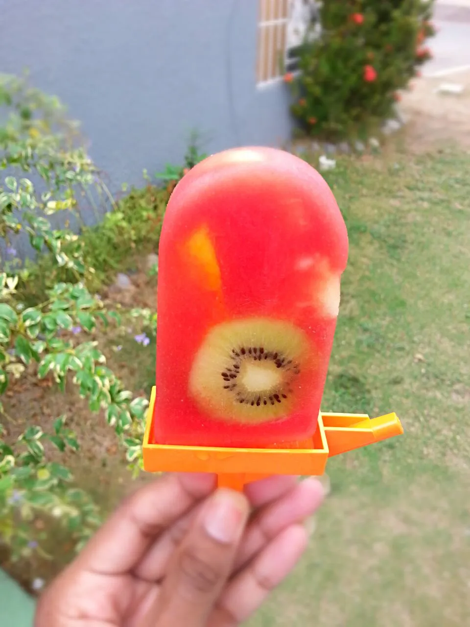 home made Popsicle with kiwi, pineapple and mango slices|Alicia Kimaliさん