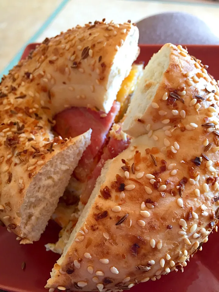 Everything bagel egg cheese and bacon|lauren shannonさん