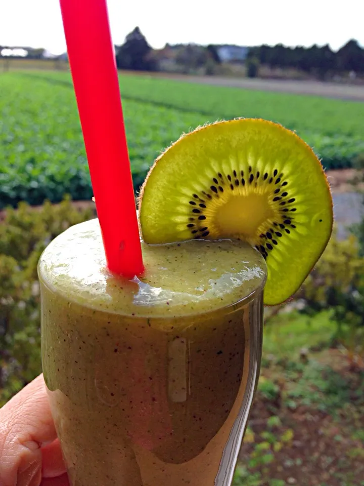 Kiwi banana smoothie|viviさん