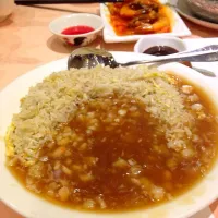 Snapdishの料理写真:豪氣一點，魚翅撈飯！|jAdePrincessさん