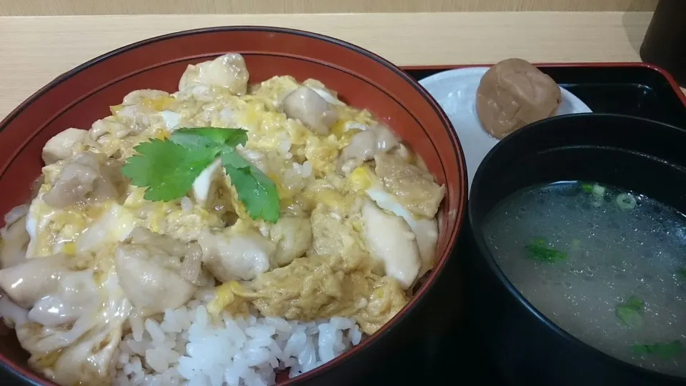 名古屋コーチン親子丼|サイファさん