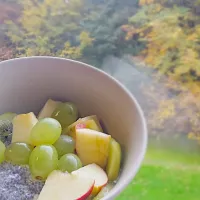 chia seeds puding with greek yoghurt|febelinaさん