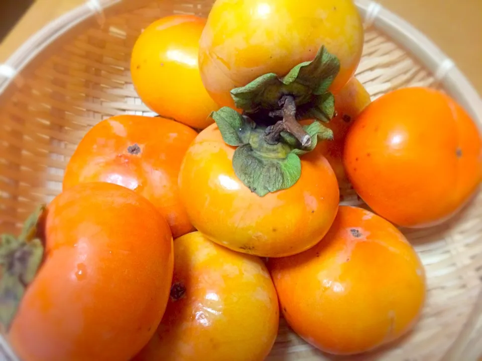 Tokyo persimmons|Masakiさん