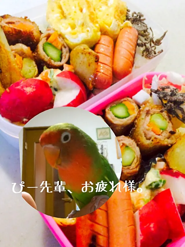 Snapdishの料理写真:今週は母が作ります。今日はふたりのお弁当。|りんさん