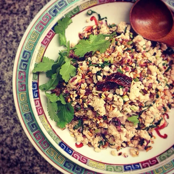 Larb, a type of Lao minced meat salad.  ラープ  豚肉のハーブ和えサラダ|Yuka Nakataさん