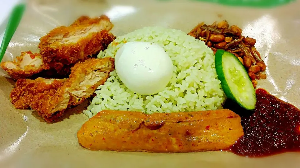 nasi lemak...|princessjoさん