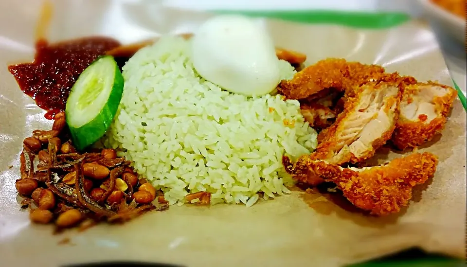 nasi lemak...|princessjoさん