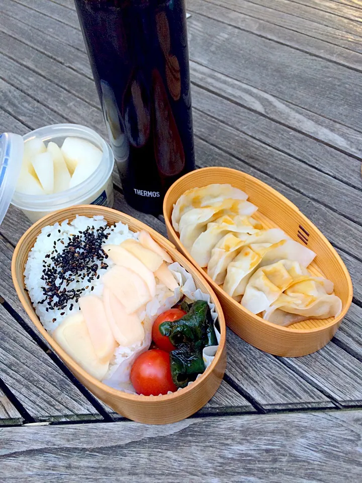 ベジタリアン餃子とピーマンの粉昆布炒め煮弁当|青山米子さん