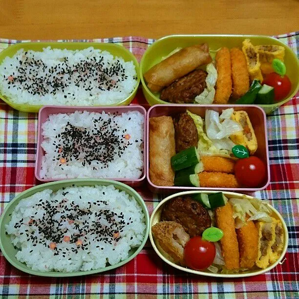 11/5(水)の三人弁当🍱
♪ハンバーグ
♪エビカツ
♪オムレツ
♪きゅうり
♪ミニトマト
♪春巻き|ふみぃさん