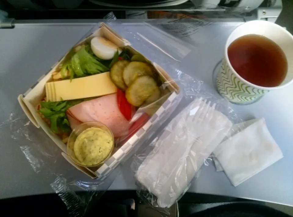 @finnAir - Helsinki to Berlin|littleH♥さん