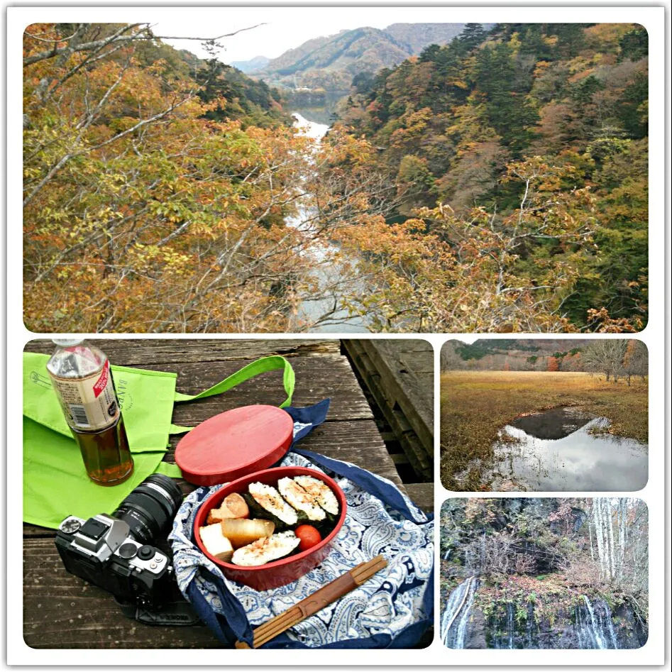 yokoさん伝授のおにぎらずで紅葉狩りと水汲みのオヤジ弁当(..)|quitaさん